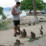 Du lịch Nha Trang – Đảo khỉ – Dốc Lết – Vinpearl land