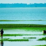 Du lịch Tây Ninh tham quan Hồ Dầu Tiếng